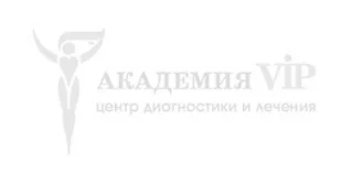 2022 SEO Академия VIP