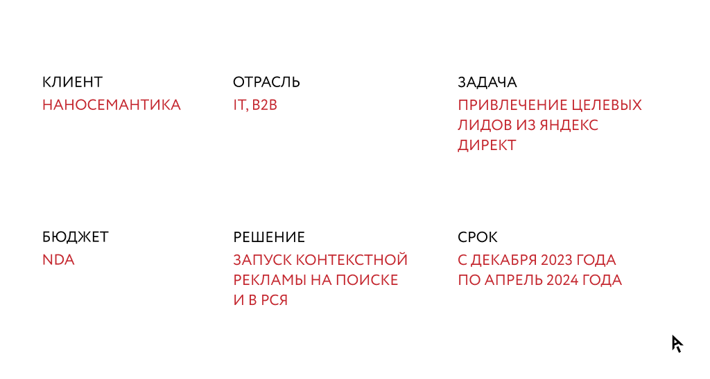 Инфографика вводные данные кейса Наносемантика